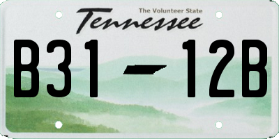 TN license plate B3112B