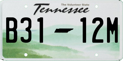 TN license plate B3112M