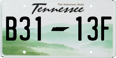 TN license plate B3113F