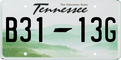 TN license plate B3113G