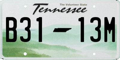 TN license plate B3113M