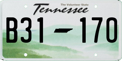 TN license plate B3117O