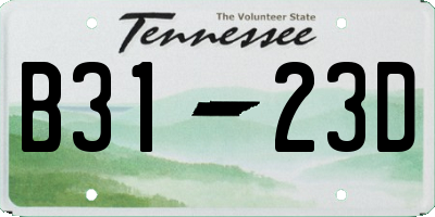 TN license plate B3123D