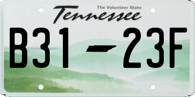 TN license plate B3123F
