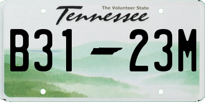 TN license plate B3123M