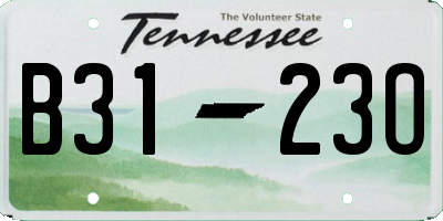 TN license plate B3123O