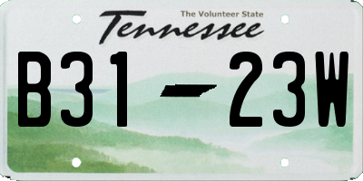 TN license plate B3123W