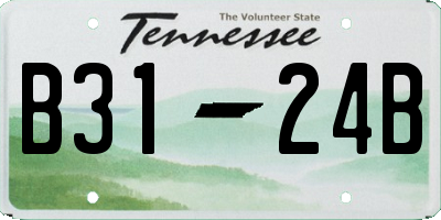 TN license plate B3124B
