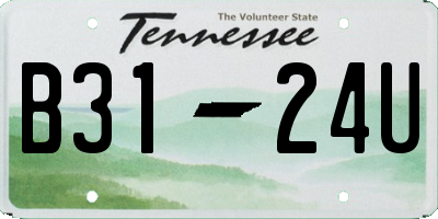 TN license plate B3124U
