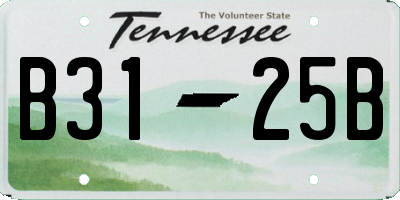 TN license plate B3125B