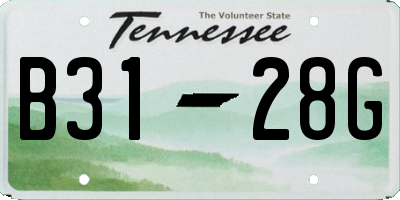 TN license plate B3128G
