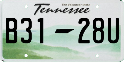 TN license plate B3128U