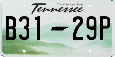 TN license plate B3129P