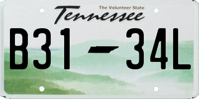 TN license plate B3134L