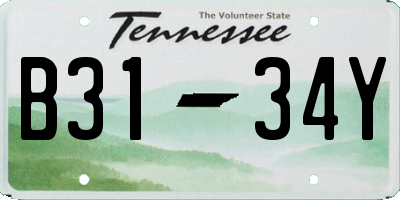TN license plate B3134Y