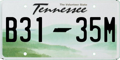 TN license plate B3135M