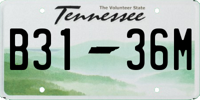 TN license plate B3136M