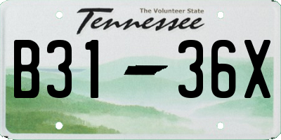 TN license plate B3136X