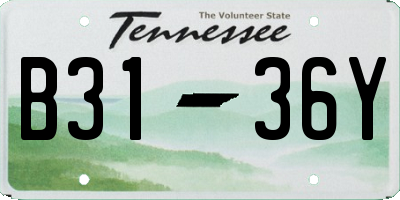 TN license plate B3136Y
