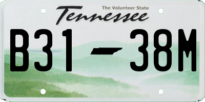 TN license plate B3138M
