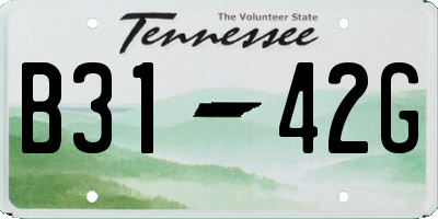 TN license plate B3142G