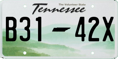 TN license plate B3142X