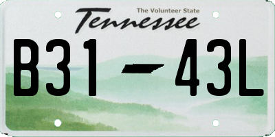 TN license plate B3143L