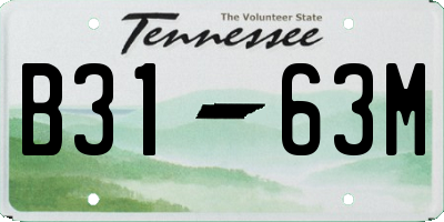 TN license plate B3163M