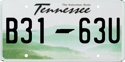 TN license plate B3163U