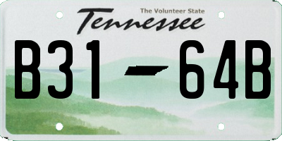 TN license plate B3164B