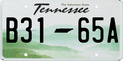 TN license plate B3165A