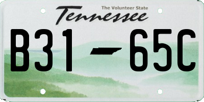 TN license plate B3165C