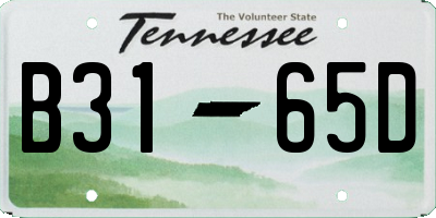 TN license plate B3165D