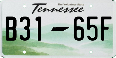 TN license plate B3165F