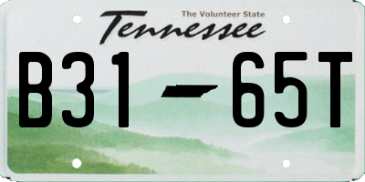 TN license plate B3165T