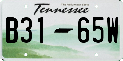 TN license plate B3165W