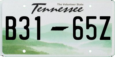 TN license plate B3165Z