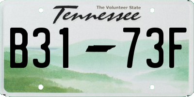 TN license plate B3173F