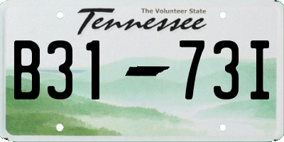 TN license plate B3173I