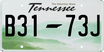 TN license plate B3173J