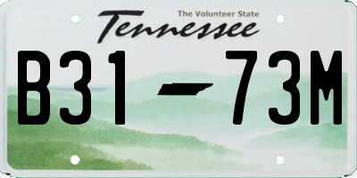 TN license plate B3173M