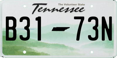 TN license plate B3173N
