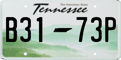 TN license plate B3173P