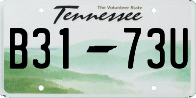 TN license plate B3173U