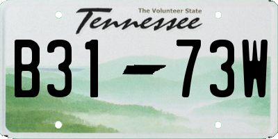 TN license plate B3173W
