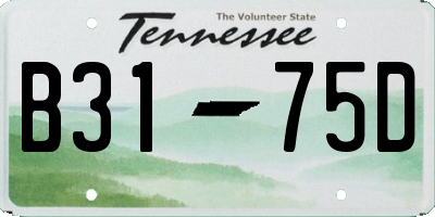 TN license plate B3175D