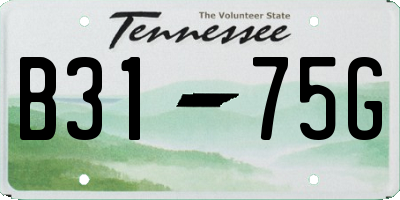 TN license plate B3175G
