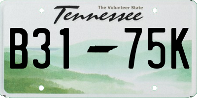 TN license plate B3175K