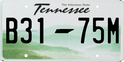 TN license plate B3175M