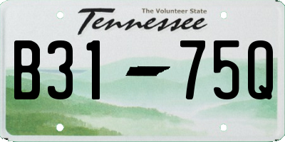 TN license plate B3175Q